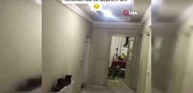 Şiddetli deprem evde yakaladı, korkuları kameraya yansıdı