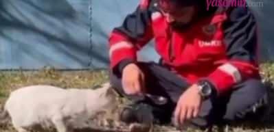 UMKE personelinin kediyle yemeğini paylaştığı anlar umut oldu: Sonuçta onlar da depremzede!