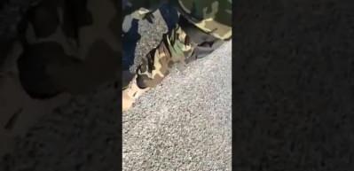 Mehmet&ccedil;ik d&uuml;nyada g&uuml;ndem oldu! Y&uuml;z milyonlarca kez izlendi