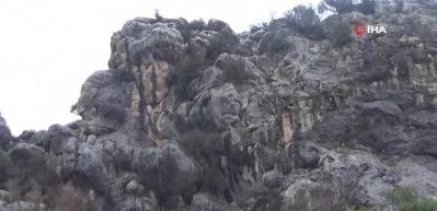 Dev kaya bir mahallenin kabusu oldu