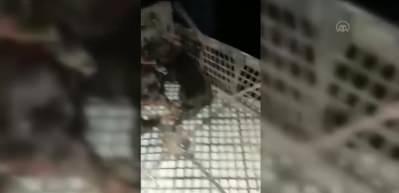 Enkaz altında doğum bile yaptı! İşte 29. g&uuml;nde gelen o mucize kurtuluş