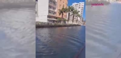 Hatay İskenderun'da kuvvetli fırtına sonrasında deniz taştı! Vatandaşları tedirgin etti