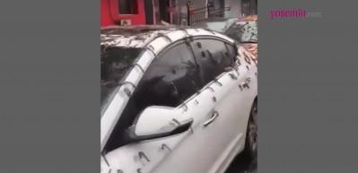 Solucan yağmuru aslında ne çıktı? Çin'de görülen bu görüntüler için "kıyamet alameti" denildi...