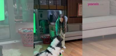 Mustafa Ceceli ve Selin İmer'den yüzleri gülümseten anlar! Deprem bölgesinde sahiplendikleri...