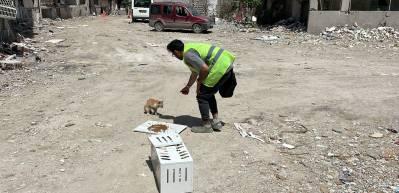 Depremden tam 76 g&uuml;n sonra enkaz altından 'Ecevit'i canlı &ccedil;ıkardılar