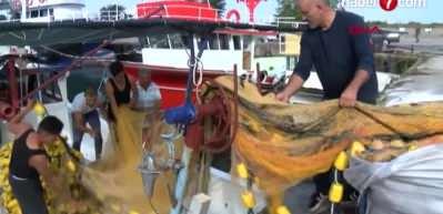 Deniz salyangozu ihracatından 5,6 milyon dolar gelir