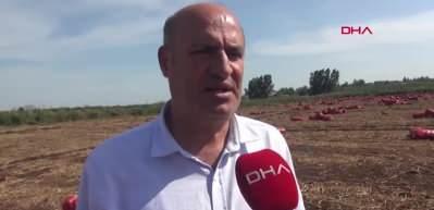 Soğan fiyatı tarlada 4 liraya geriledi