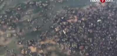 Uzmanından İzmir K&ouml;rfezi i&ccedil;in kirlilik uyarısı!