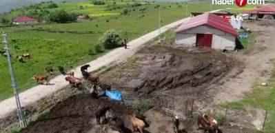 Kasaplar Federasyonu'ndan kurbanlık fiyatlarını şişirecek a&ccedil;ıklama!
