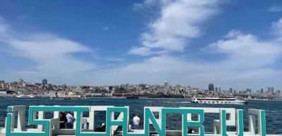 G&ouml;zlem yeteneğinizi &ouml;l&ccedil;eceğiniz zeka testi: &Uuml;st&uuml;n g&ouml;rme yeteneği olanlar 6 saniyede gizli kediyi g&ouml;r&uuml;yor!