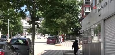 Kargaların saldırısı mahalleliyi bezdirdi! Kamikaze dalışıyla saldırıyorlar...
