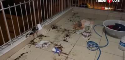 Antalya'da boşanma aşamasındaki adam vahşet sa&ccedil;tı!