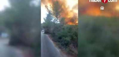 Muğla'da ormanlık alanda yangın çıktı
