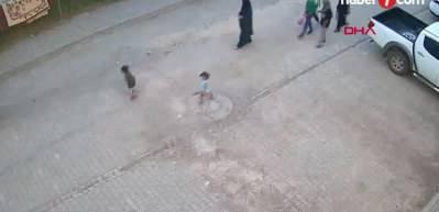 Başıboş sokak k&ouml;peklerindeki sinsi hastalık 8,8 kat arttı! T&uuml;rkiye salgın hastalıkla karşı karşıya!