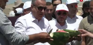 Diyarbakır&rsquo;da karpuz hasadı başladı
