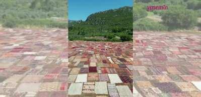 Antalya D&ouml;şemealtı'ndaki g&ouml;rsel ş&ouml;len g&ouml;renleri hayran bırakıyor! Rengarenk halı ve kilim tarlası...