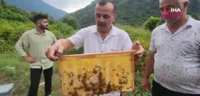 Arılar petek &uuml;zerine 'Allah' yazısı oluşturdu! G&ouml;r&uuml;nt&uuml; t&uuml;yleri diken diken etti