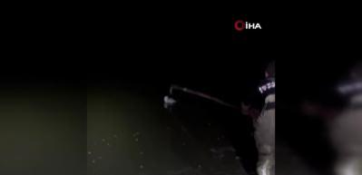 Bataklığa saplanıp ölmek üzere olan martıyı itfaiye ekipleri kurtardı: O anlar kamerada