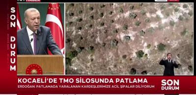 Başkan Erdoğan: Son 21 yılda Türkiye toplamda 6 milyar 572 milyon fidan toprakla buluştu