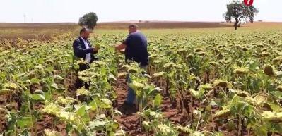 Ay&ccedil;i&ccedil;eğinde kayıp y&uuml;zde 70'leri buldu! T&uuml;m T&uuml;rkiye'yi etkilemesi s&ouml;z konusu