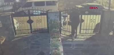 Restoran sahibi dambıl barıyla saldırdı &ccedil;alışanların parasını gasp etti! İşte korku dolu o anlar!