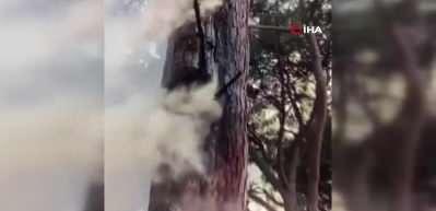 36 yıldırım yangını &ccedil;ıktı