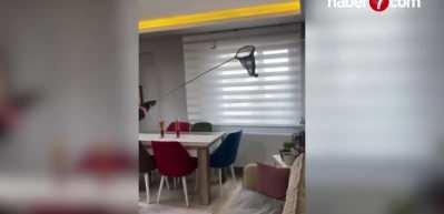 İtfaiye erinin yarasalarla imtihanı