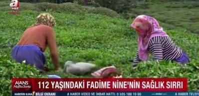 Karadeniz&rsquo;in emektar kadını 112 yaşındaki Fadime Nine&rsquo;nin sağlık sırrı: "G&uuml;nde sadece..."
