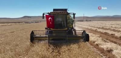 Tarım İşletmeleri Genel M&uuml;d&uuml;rl&uuml;ğ&uuml; : Hasat rekoru