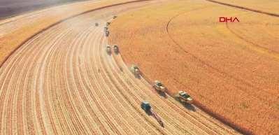 TİGEM'de hububat hasadı rekoru kırıldı...A&ccedil;ıklamayı Bakan Yumaklı yaptı...