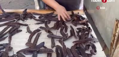 Antalya'da ke&ccedil;iboynuzu fiyatı dibe vurdu