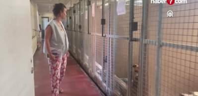 Bel&ccedil;ika k&ouml;pek sorununu b&ouml;yle &ccedil;&ouml;zd&uuml;: 25 yıldır uyguluyorlar!
