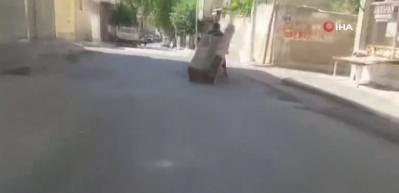 Kanepeyi motosikletle taşıdığını g&ouml;renler g&ouml;zlerine inanamadı! İşte pes dedirten yolculuk