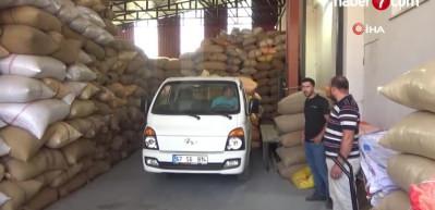 Zonguldak'ta fındık fiyatındaki artış &uuml;reticiyi sevindirdi