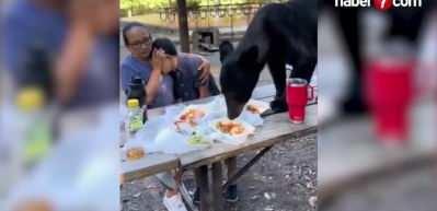 Meksika&rsquo;da piknik yapan bir ailenin masasına ayı &ccedil;ıktı yemekleri yedi