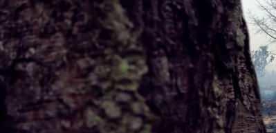 Sıfır Atık Projesi ile ekonomik kazan&ccedil;