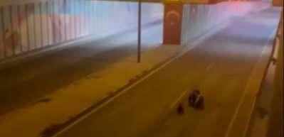 A&ccedil; kalan ayı yavrularıyla şehre indi