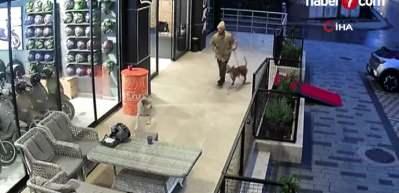 Pitbull cinsi k&ouml;peğini insanların &uuml;st&uuml;ne saldı, tepki g&ouml;sterenlere bı&ccedil;ak &ccedil;ekti