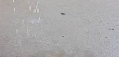 İl il hava durumu