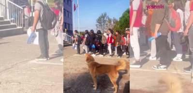 İstiklal Marşı'na eşlik eden k&ouml;pek y&uuml;zleri g&uuml;l&uuml;msetti!