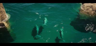 Animasyon severlere m&uuml;jdeli haber! 'Aslan H&uuml;rkuş 3: Anka Adası' vizyona giriyor