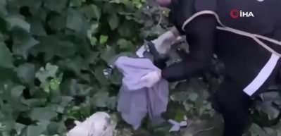Ece Ronay gözaltına alındı! Operasyonda evden çıkanlar ağızları açık bıraktı