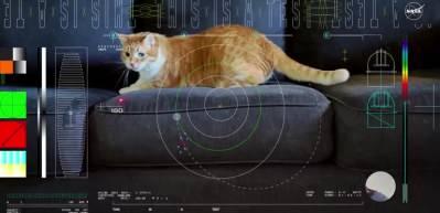 Bu kedi videosu, Dünya'ya 31 milyon kilometre uzaklıktan gönderildi!
