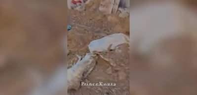 İşgalci ter&ouml;rist devlet İsrail &ouml;l&uuml;lere de saygı duymuyor!