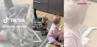 Kedi ve bebeğin arkadaşlığı yumuşacık yaptı! Bebeğin antenleri en güzel oyuncak...