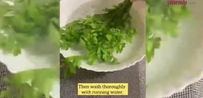TikTok'ta trend olan anti-aging krem tarifi! Evde sıkılaştırıcı krem  nasıl yapılır?