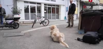 K&ouml;pekten ka&ccedil;tı, 677 bin lira tazminat kazandı!