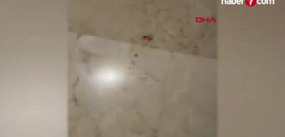 Bir apartmanda telef edilmiş 6 kedi yavrusu bulundu