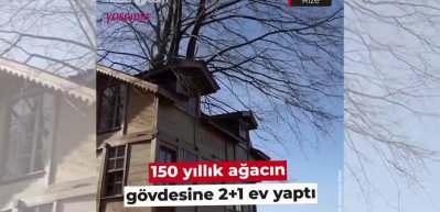 Rize'de 150 yıllık ağacın gövdesindeki ev görenleri hayrete düşürdü!