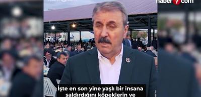 BBP lideri Mustafa Destici yolda sokak köpeği görünce verdiği tepkiyi anlattı